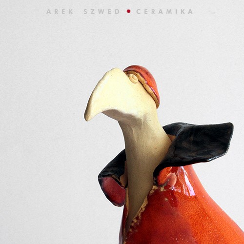 Pomarańcza Dziobata Arek Szwed