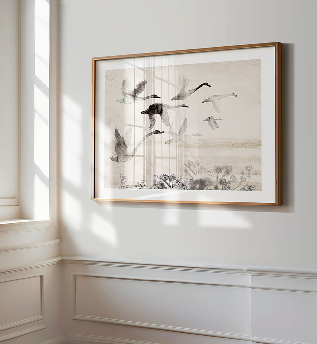 plakaty Plakat Dzikie łabędzie  50x70 cm