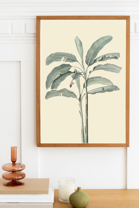 plakaty PLAKAT BOTANICZNY  ROŚLINA ilustracja
