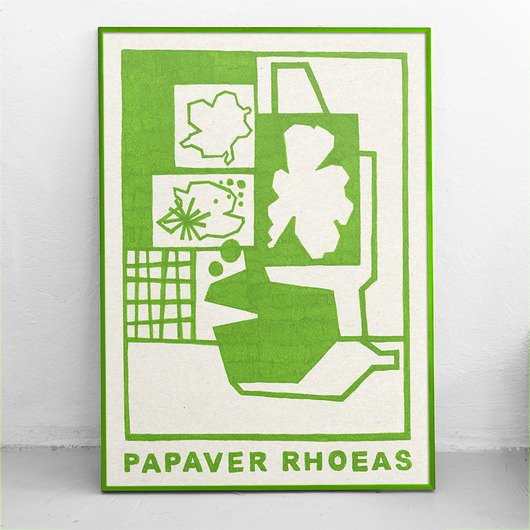 grafiki i ilustracje Papaver rhoeas