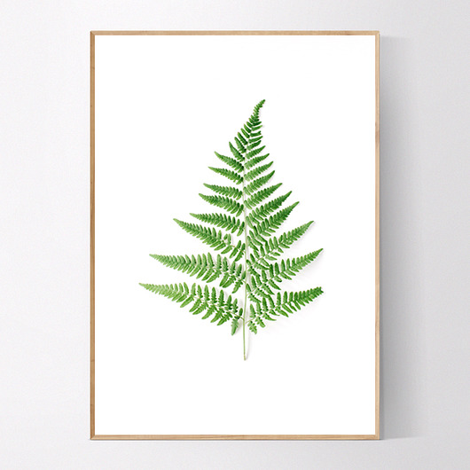 Plakat Liść paprotki MUKKO