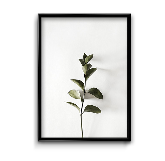 plakaty Plakat Floral No.8 