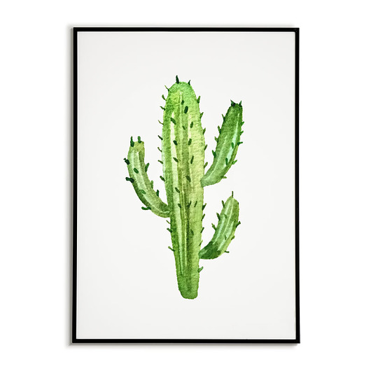 plakaty Plakat KAKTUS, grafika, obraz BOTANICZNY zielony