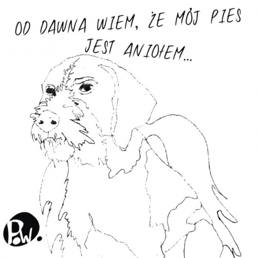 Psi Anioł... A3+ (ok. 30x40 cm.) Parallel World