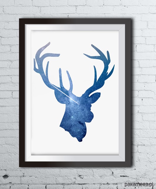 Plakat STARSAILOR, jeleń 50 x 70 cm Colleco