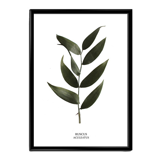 Plakat a4 RUSCUS Lawendowy Bazar
