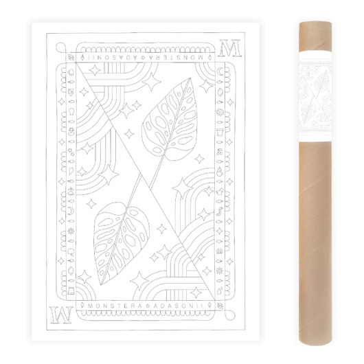 plakaty Plakat do Kolorowania Roślina Doniczkowa Monstera Adasonii 50x70cm
