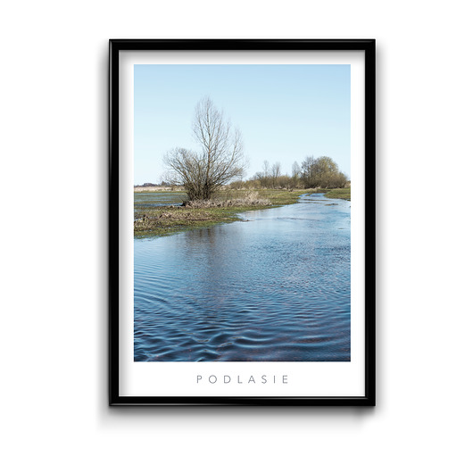 Plakat Podlasie  Bury Lis