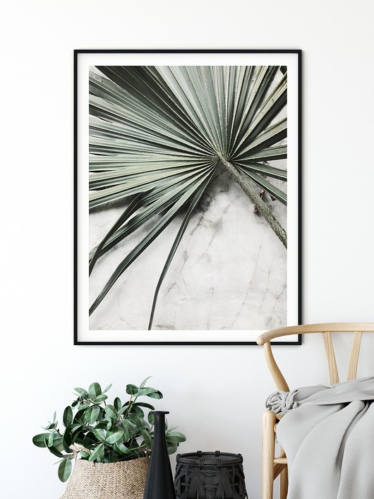 Plakat skandynawski botaniczny Liść Palmy myscandi