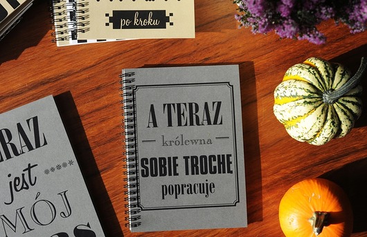 notatniki i albumy A teraz królewna sobie trochę popracuje, notatnik