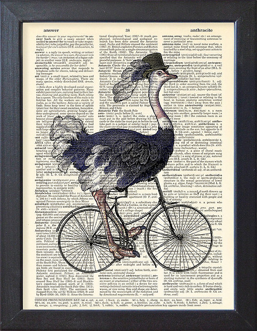 Plakat, grafika, ilustracja, struś na rowerze nkcraftstudio