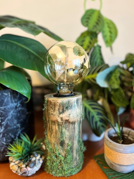 lampy stołowe Leśna Lampka Retro, mech