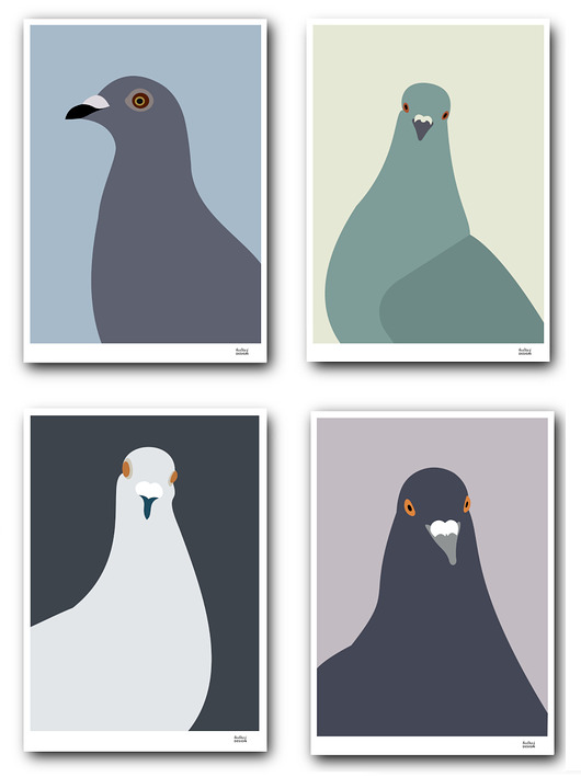 obrazy i plakaty do pokoju dziecięcego Zestaw plakatów A4 Gołębie