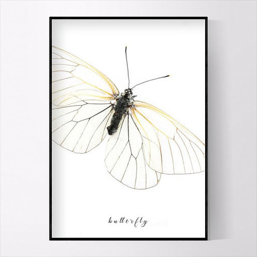 Plakat BUTTERFLY 50x70 cm MUKKO