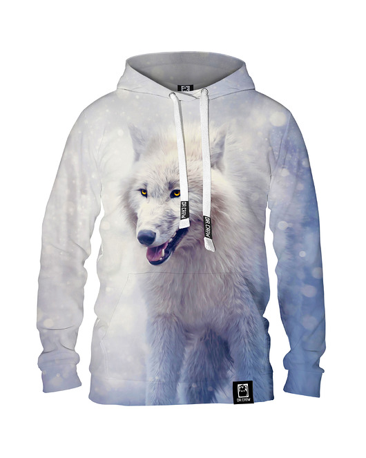 bluzy męskie Męska Bluza z kapturem DR.CROW Winter Wolf
