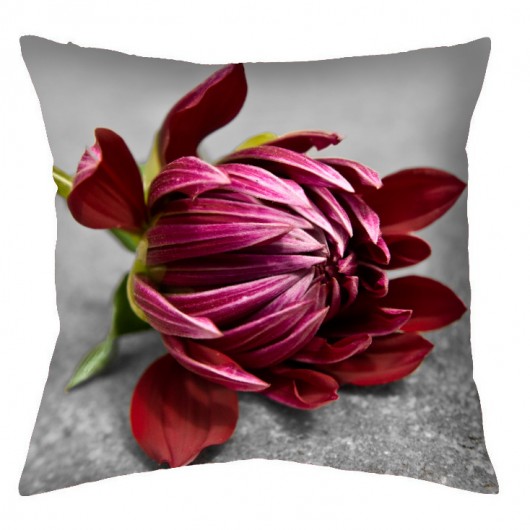 NOWOŚĆ- 2xDalia 45cm + gratis! AT design