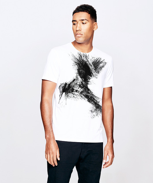 t-shirty męskie Bird Men's T-shirt