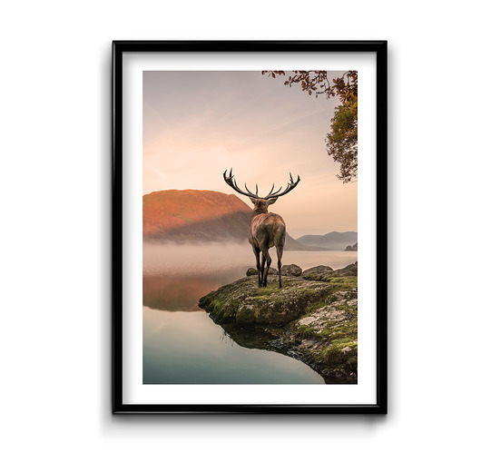 plakaty Plakat Jeleń nad Jeziorem