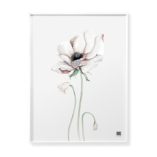 Plakat Anemony 3 Hug The Stuff
