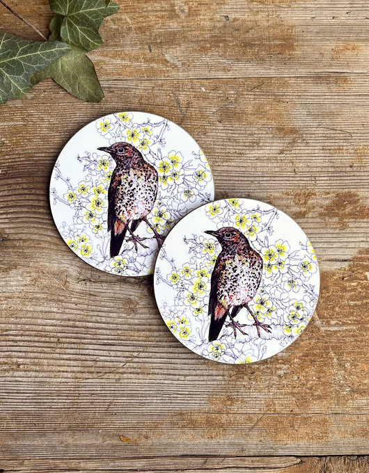 podkładki do kuchni Podkładki pod kubek- Drozd śpiewak - Ilustracja