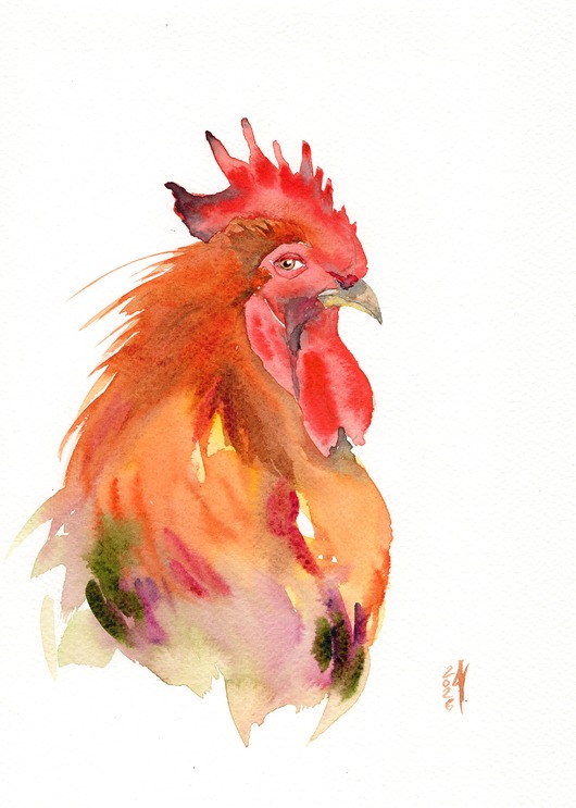 obrazy Oryginalna akwarela. Kogut
