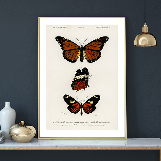 Plakat BUTTERFLIES no.3 muybien