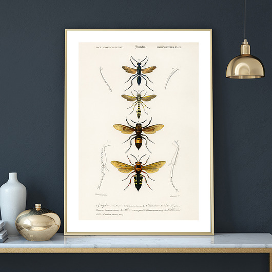 Plakat INSECTS no.2 muybien