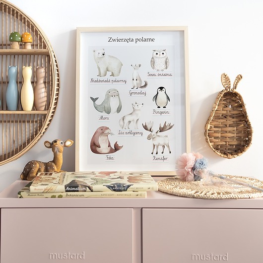 obrazy i plakaty do pokoju dziecięcego Plakat edukacyjny ZWIERZETA POLARNE - Plakaty Na Ścianę Dla Dzieci MONTESSORI