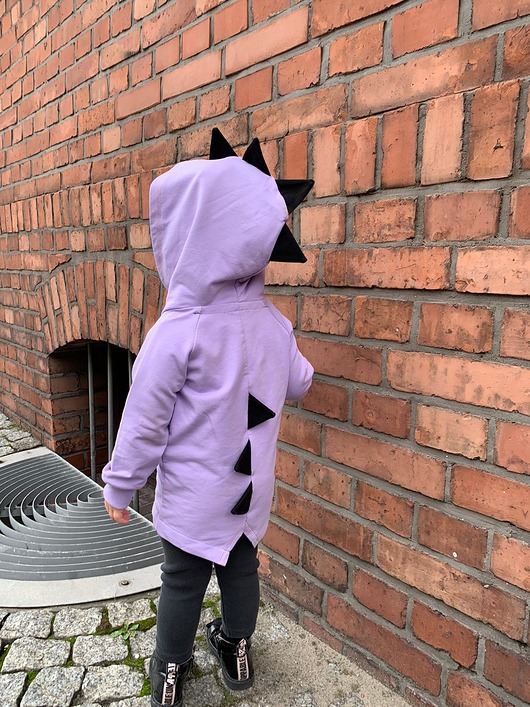 bluzy dla dziewczynki DINO Bluza Liliowa