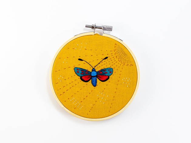 Ozdoby na ścianę Motyl w słońcu I