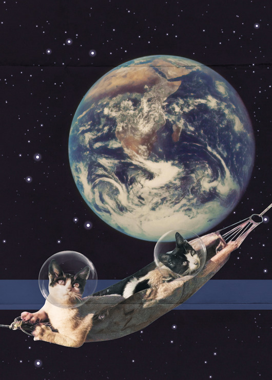 plakaty Plakat Space Cats (kolaż)