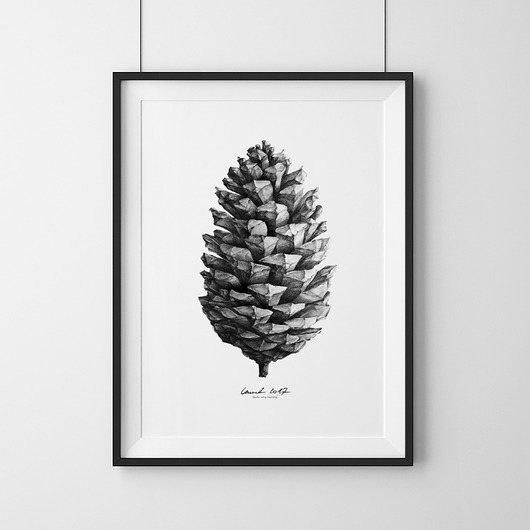 grafiki i ilustracje Szyszka