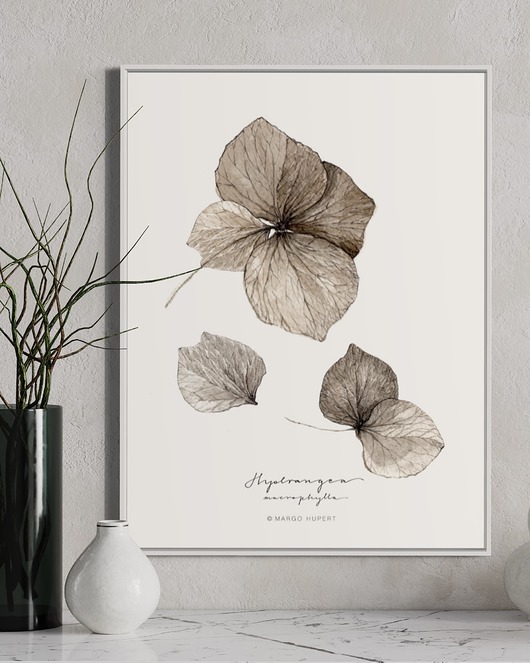 grafiki i ilustracje Hortensja { 50x70 cm }