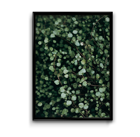 plakaty Plakat Drobne Listki