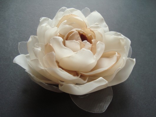 KREMONA SundayRose