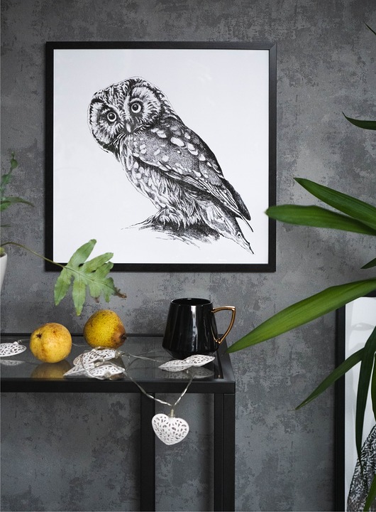 grafiki i ilustracje Sówka