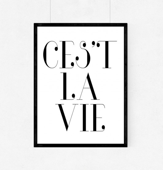 Plakat c'est la vie - A3 wejustlikeprints