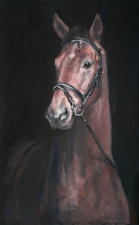 obrazy Koń - olej na płótnie