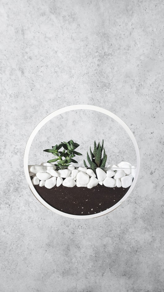 doniczki Circle planter "S" - dekoracja ścienna