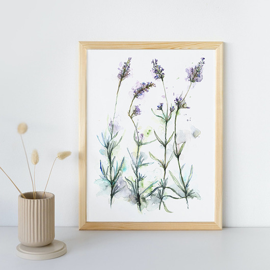 grafiki i ilustracje Lawenda, 30x40 cm