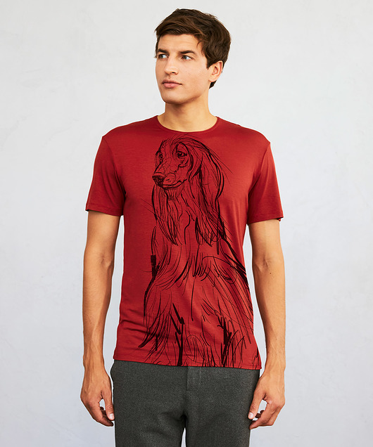 t-shirty męskie Afghan chart Dog Men's T-shirt marsala