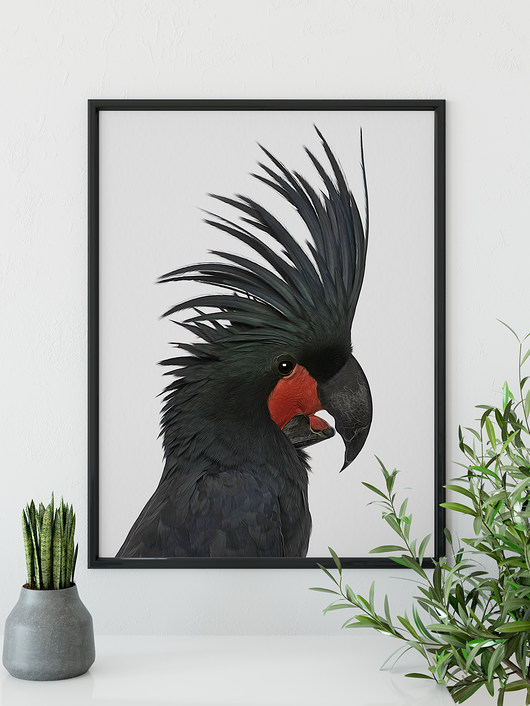 plakaty Plakat Papuga - 50x70cm