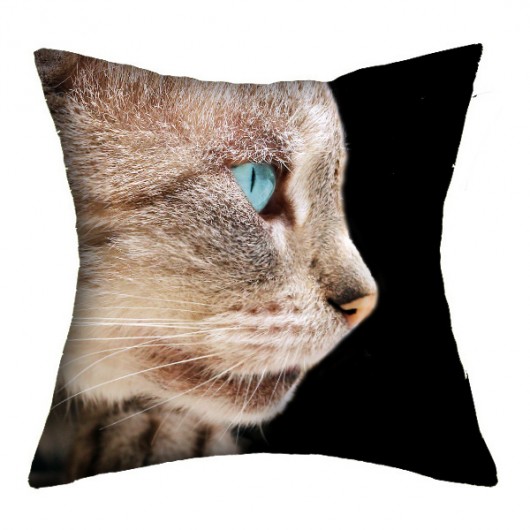 promocja! 2w1 rzymskie koty 1-36 cm AT design