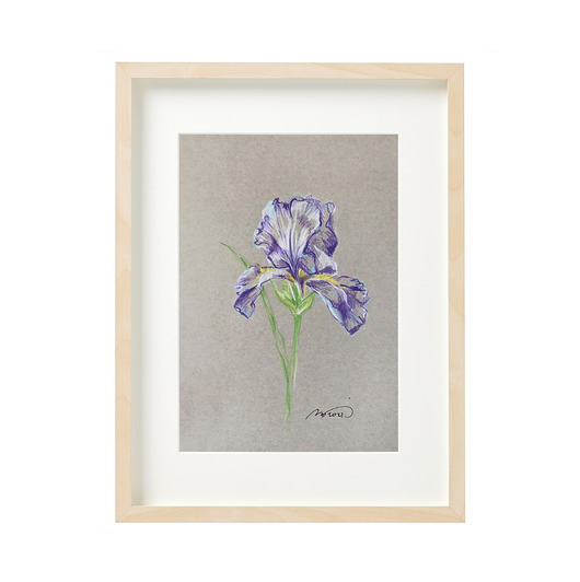 grafiki i ilustracje Iris II / ilustracja A5 oryginał