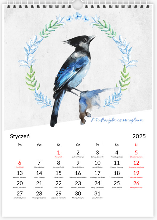 kalendarze i plannery Kalendarz z ptakami 2025