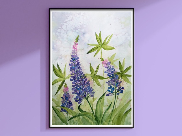 obrazy Oryginalna akwarela. Łubin 30x40cm