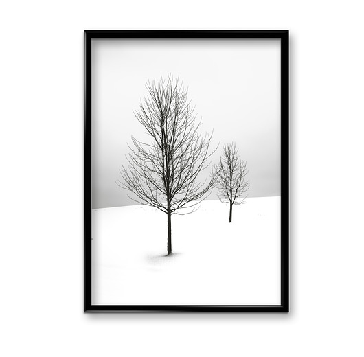 Plakat Drzewa  Bury Lis