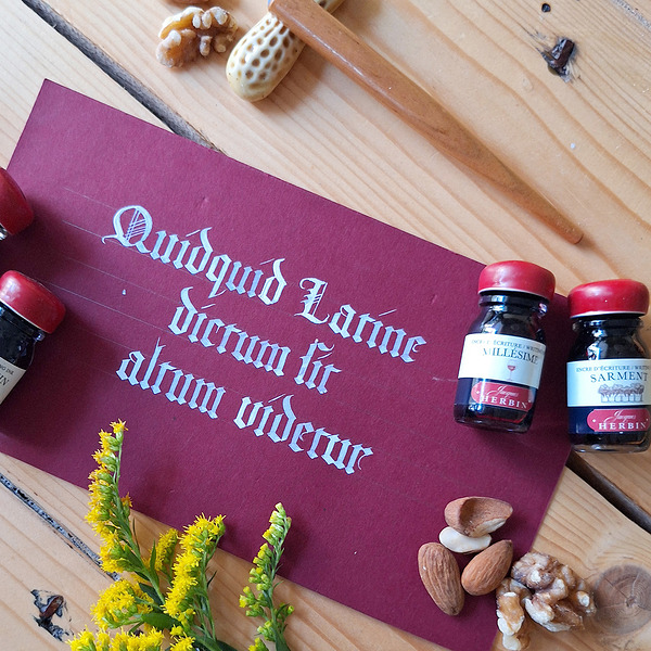 Warsztaty inne W średniowiecznym skryptorium: piękna i smukła tekstura gotycka