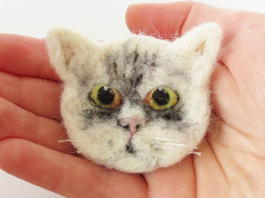 Kot perski srebrny tabby DoraHand
