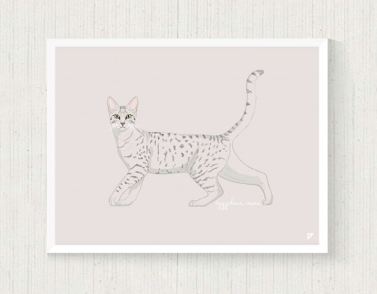 Kot Egyptian Mau 30x40 cm Follygraph